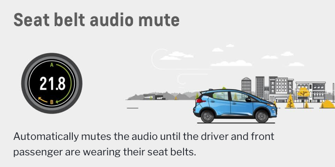 seat-belt-mute
