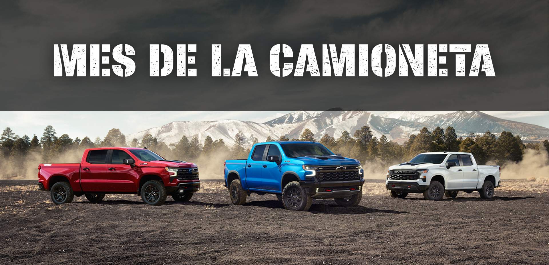 TRUCK MONTH SLIDE ESP